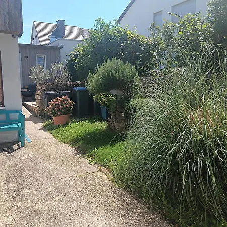 Mattheiser Weiher * Trier