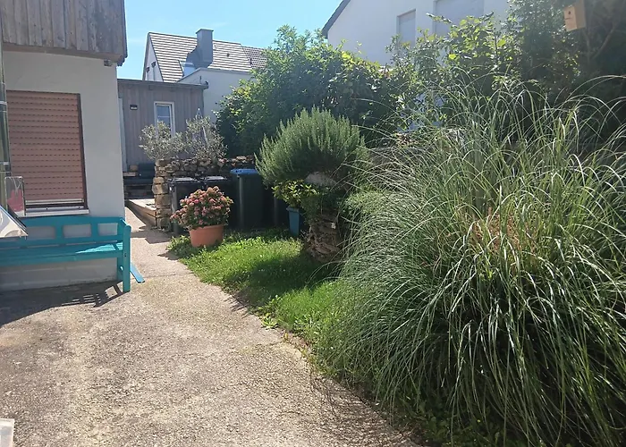 Mattheiser Weiher * Trewir